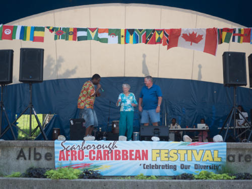 Afro-Caribbean-Festival-2016-08-20-13-02-43