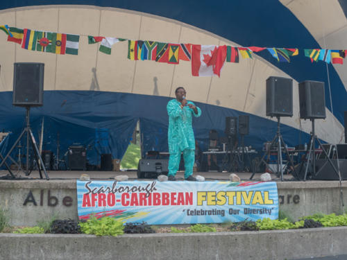 Afro-Caribbean-Festival-2016-08-21-13-35-42