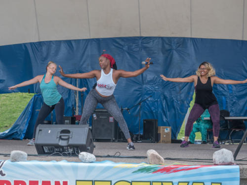 Afro-Caribbean-Festival-2016-08-21-14-01-08