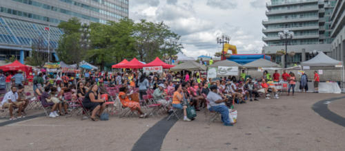 Afro-Caribbean-Festival-2016-08-21-14-07-37