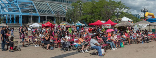 Afro-Caribbean-Festival-2016-08-21-14-28-49-B