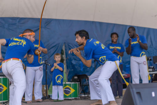 Afro-Caribbean-Festival-2016-08-21-15-12-52