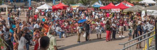 Afro-Caribbean-Festival-2016-08-21-16-06-47-B