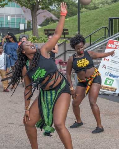 Afro-Caribbean-Festival-2016-08-21-17-29-17