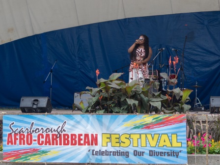 Afro Caribbean Festival 2014-08-23 15-09-46